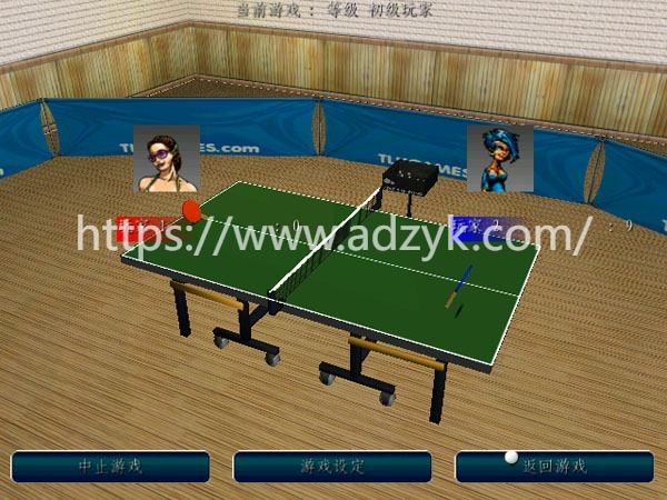 3ds游戏 乒乓运动练习系列  中文汉化版  2作各版本按需下载