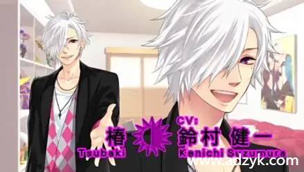 psp游戏 兄弟之争系列 中文汉化版 2作各版本按需下载