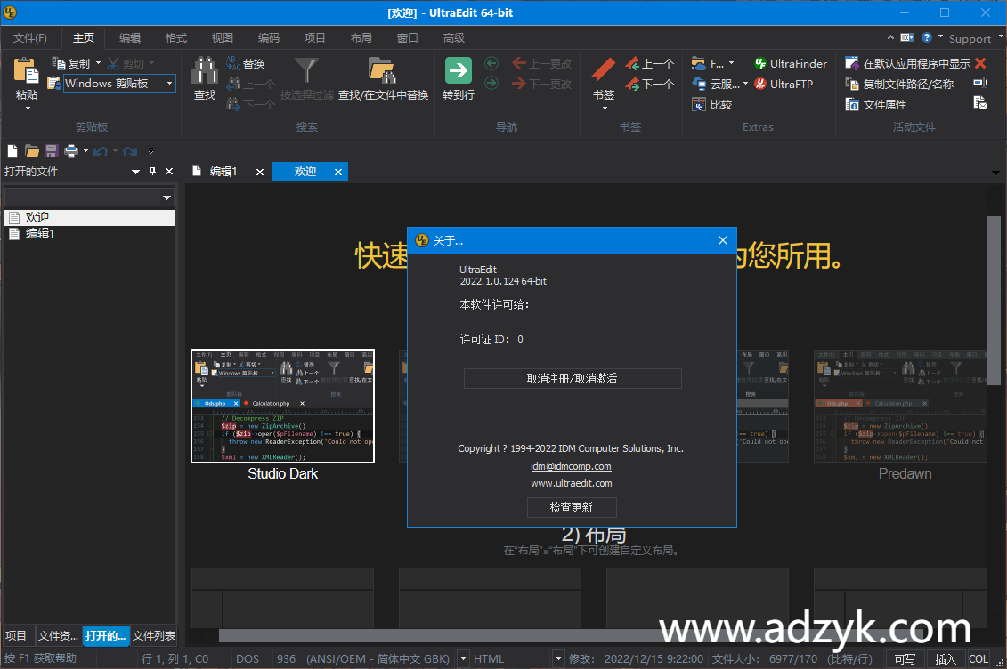pc端 IDM UltraEdit 代码编辑器 中文版