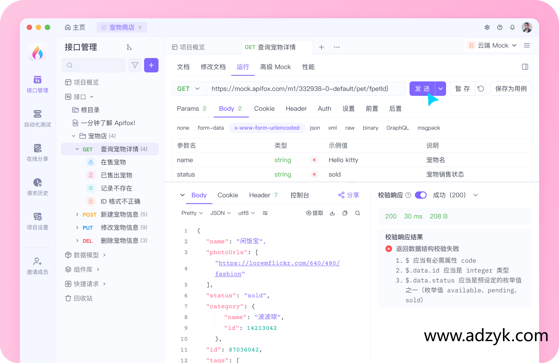 pc端 Apifox  Api调试管理工具 中文绿色版