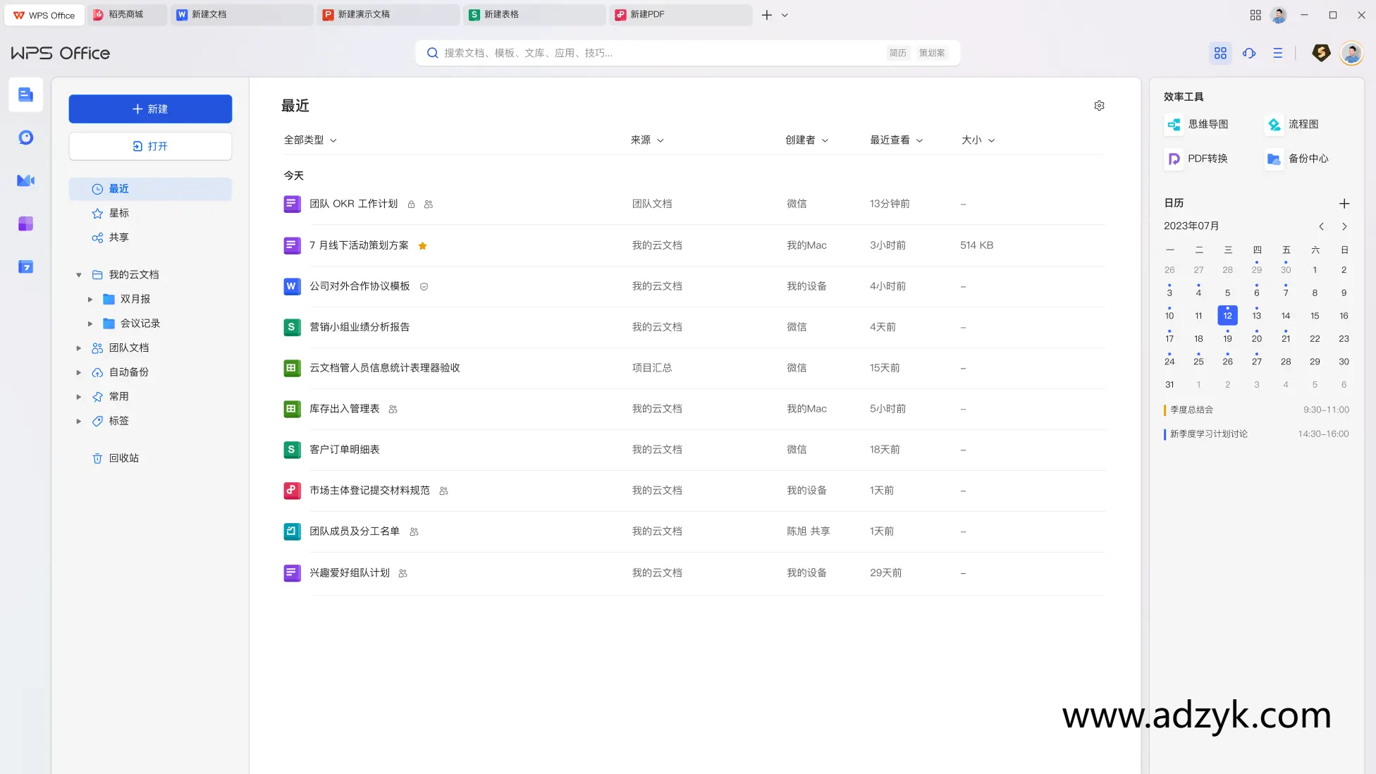 pc端 WPS Office  免激活、去水印、优化专业增强版
