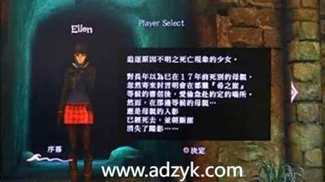 ps3游戏 异界灵魂：失落的传说(异域传承) 中文汉化版  
