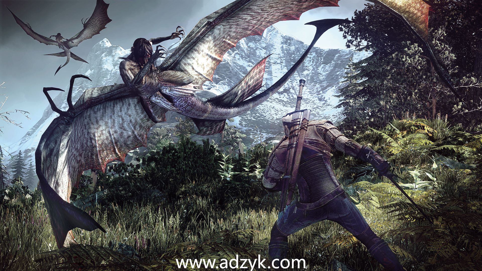 pc游戏 巫师系列 中文版 3作按需下载 