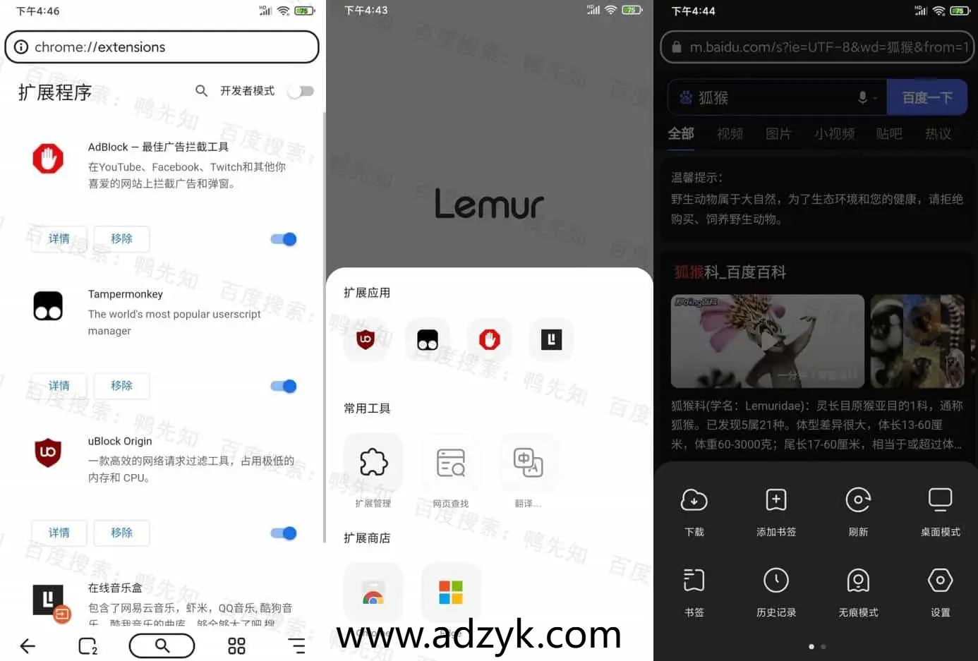 手机端  狐猴浏览器 Lemur Browser 支持谷歌、微软插件的手机浏览器