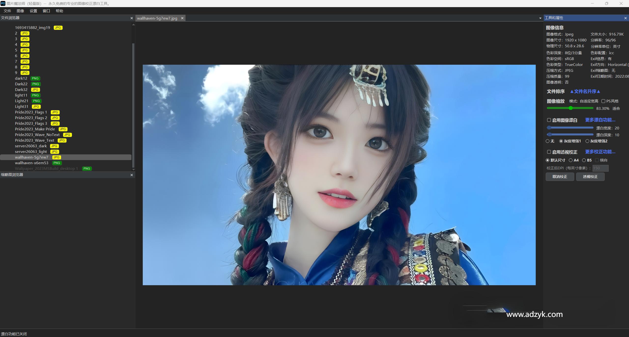 pc端 图片处理 魔图师 