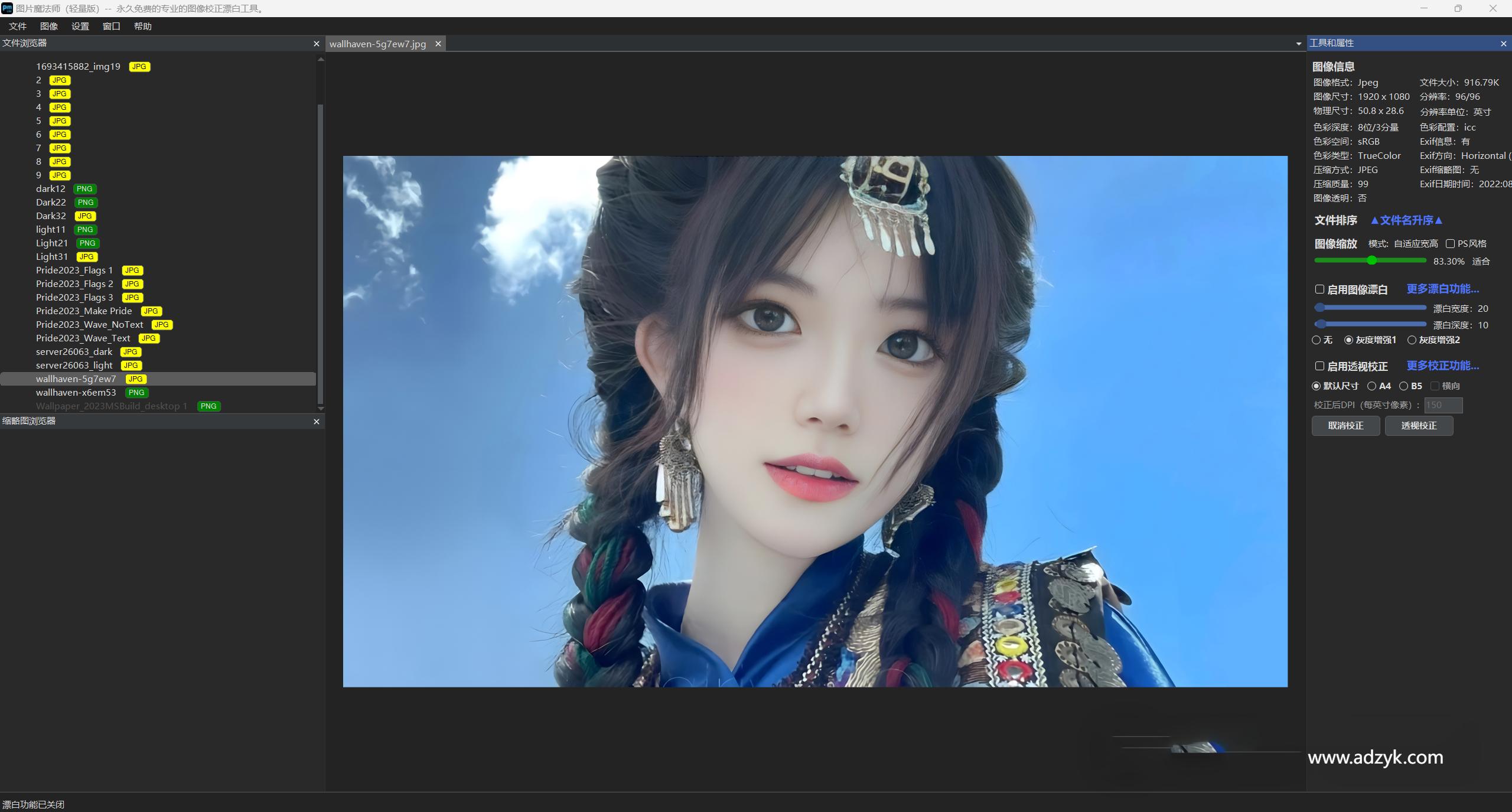 pc端 图像校正漂白 PMLite 轻量版 
