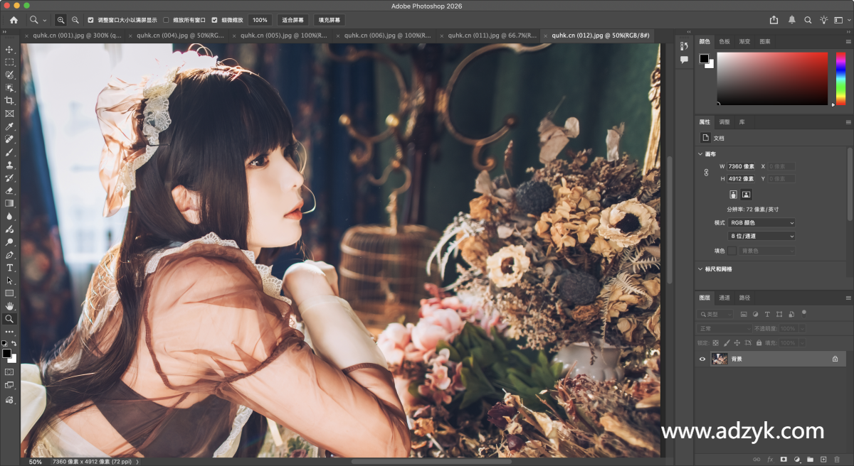 pc端 动态图形处理 Adobe Photoshop 2026  特别版